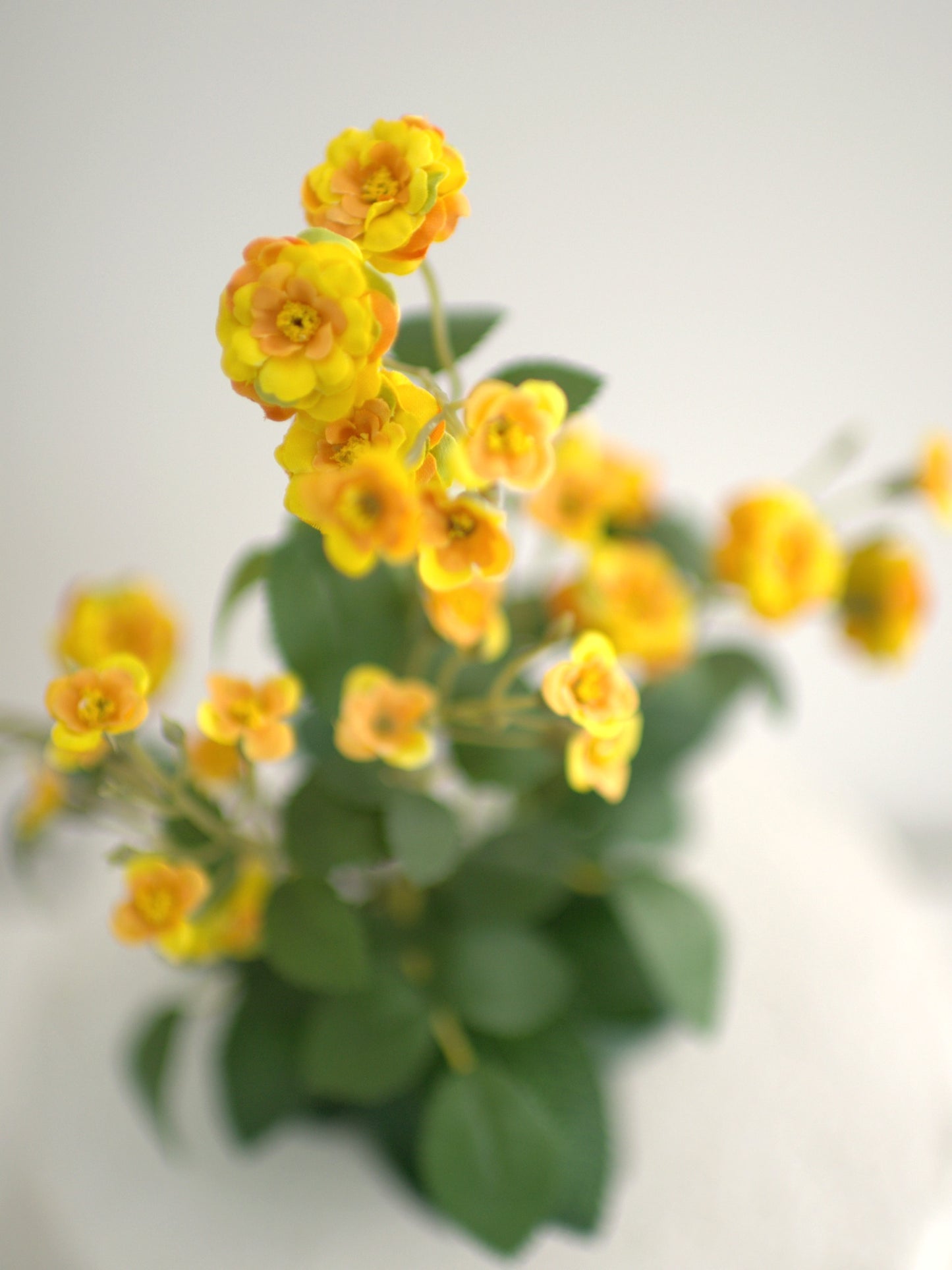 Yellow Kalanchoe Cake Topper