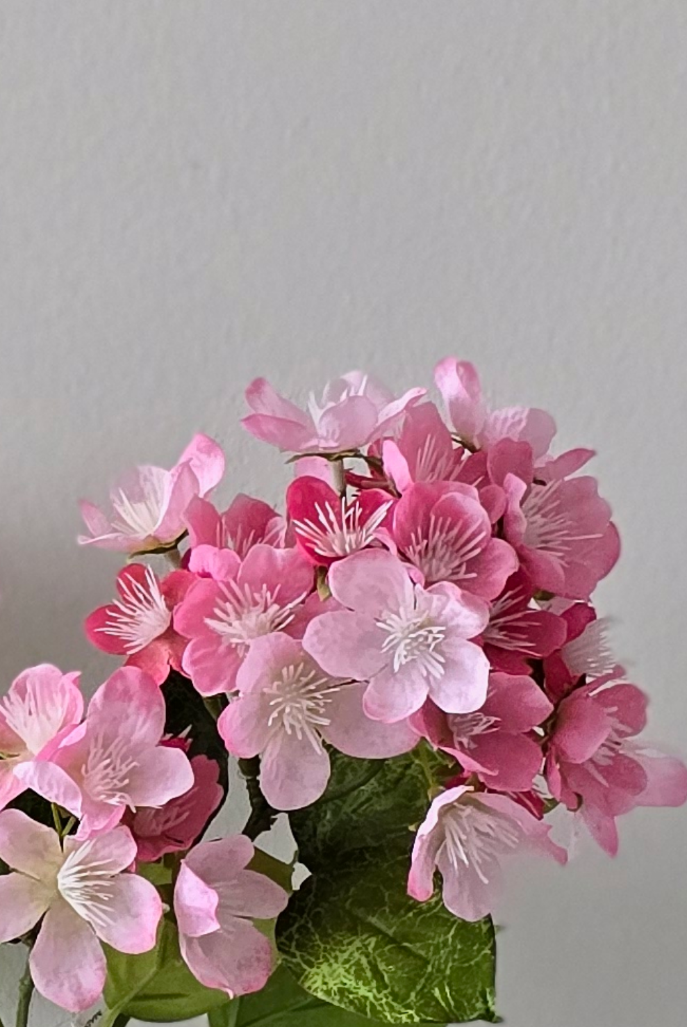 Pink Cherry Blossom Floral Cake Topper